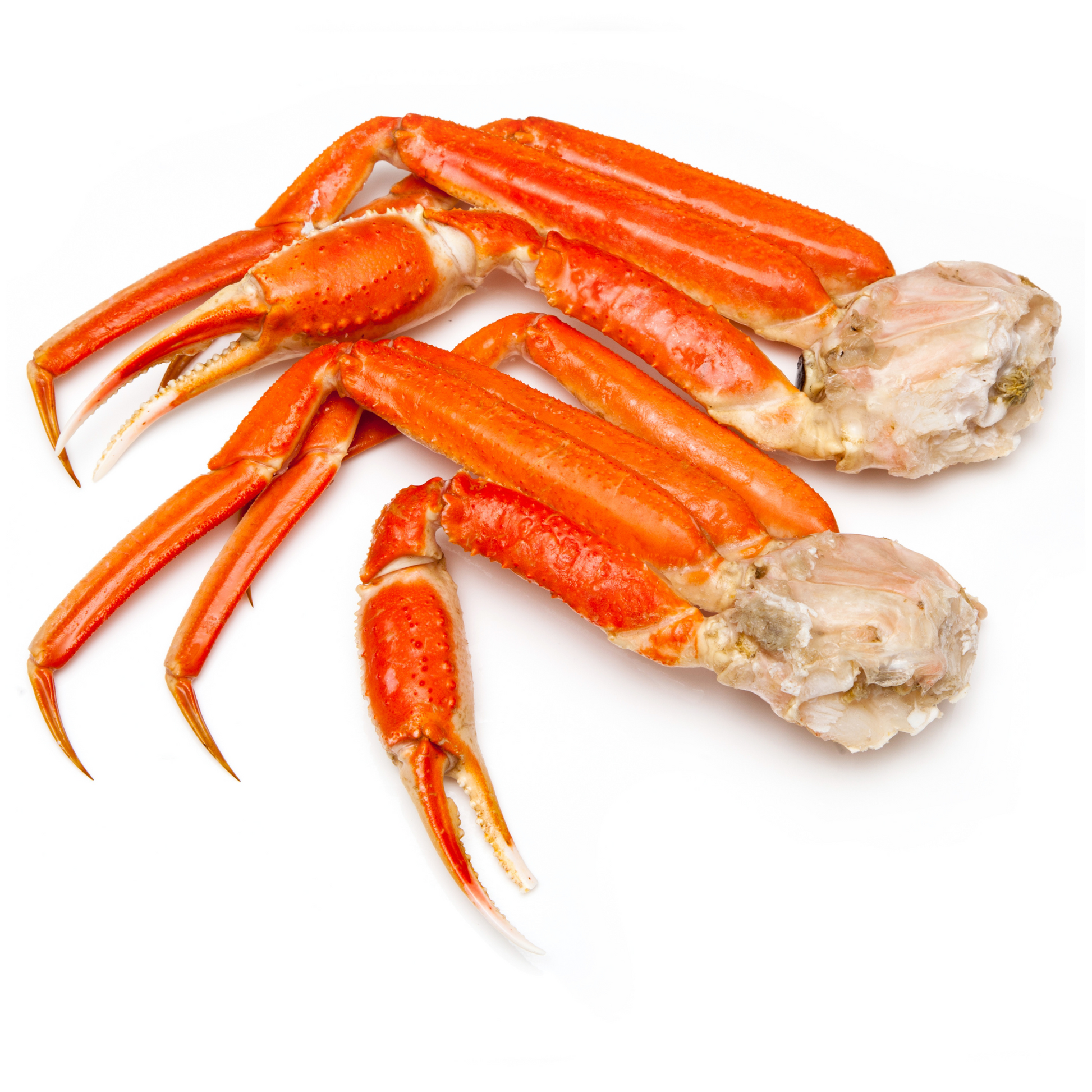 SnowCrabs